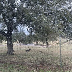 Meet your Posher, Wren